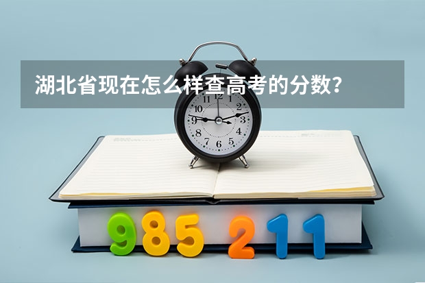湖北省现在怎么样查高考的分数？