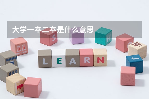 大学一夲二夲是什么意思