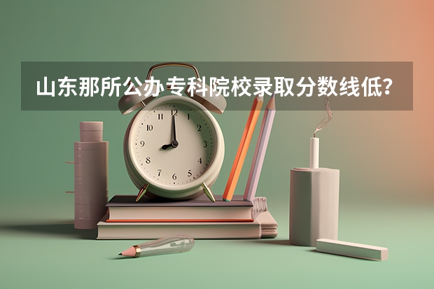 山东那所公办专科院校录取分数线低？我是文科只考了310，重谢 武汉专科大学排名文科
