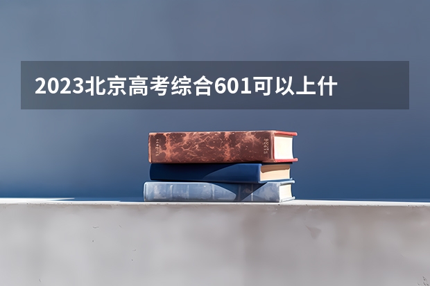 2023北京高考综合601可以上什么大学