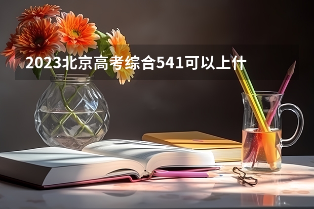 2023北京高考综合541可以上什么大学